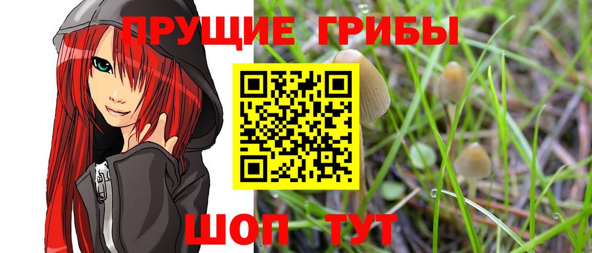 Гашиш  МЕФ  Канабис  Солнечногорск  Вход с VPN  Меф МЯУ МЯУ  